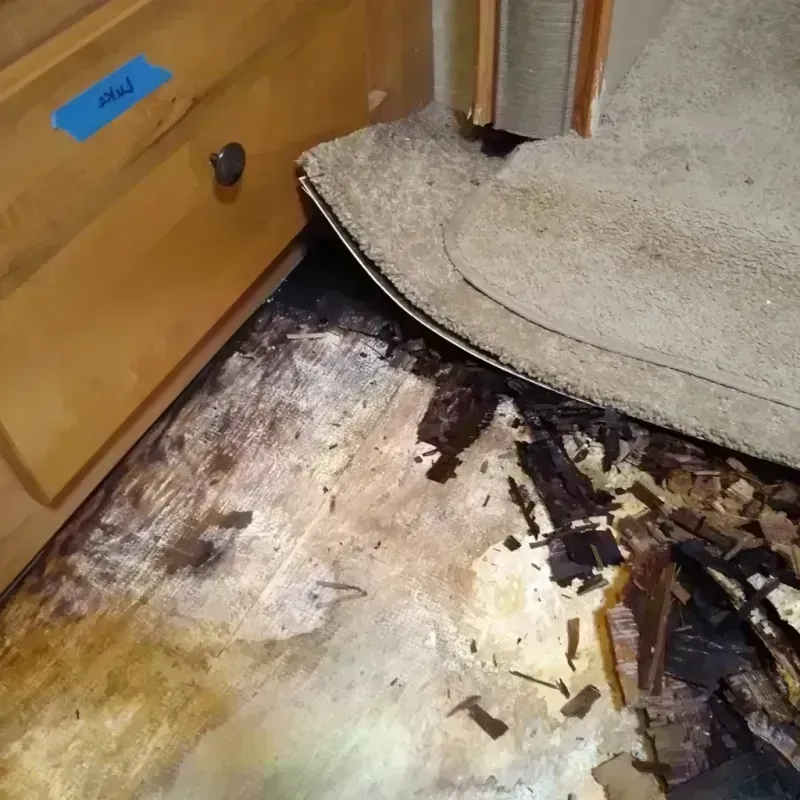 Best Wood Floor Water Damage Service in Arenas Valley, NM